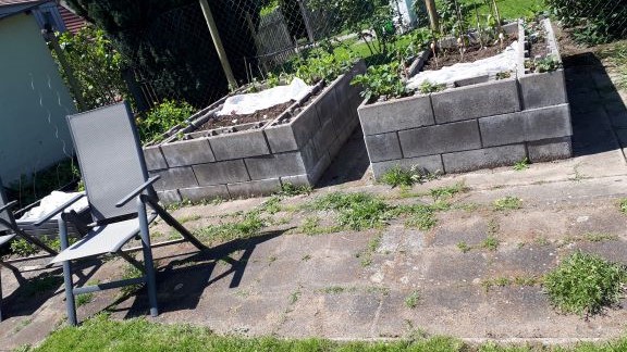 Bild Garten im Frühjahr