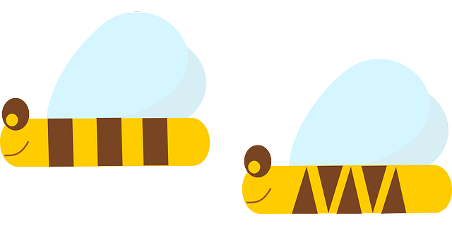 Bienen-Foto